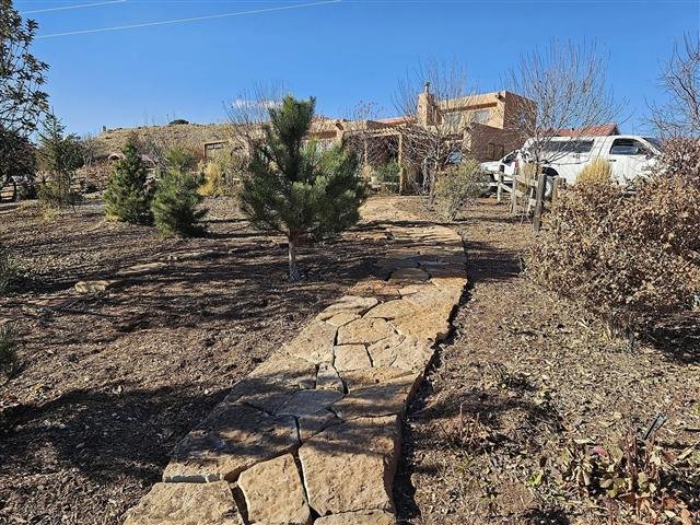 Flagstone path with young pine trees